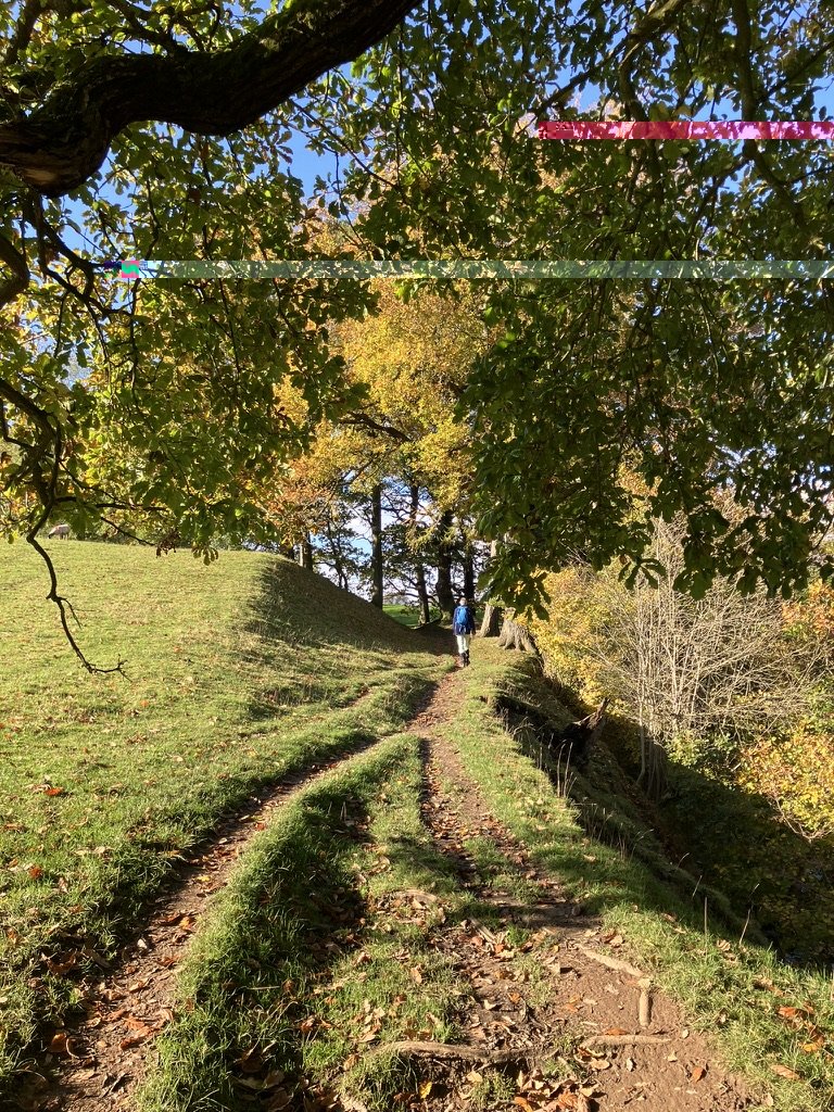 Wesley Peak Sheffield District Pilgrimage