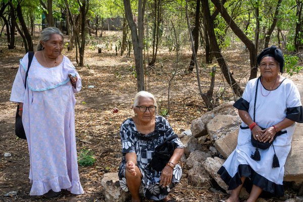 Colombia_Hawkey_LaGuajira_20260428_0051 SM