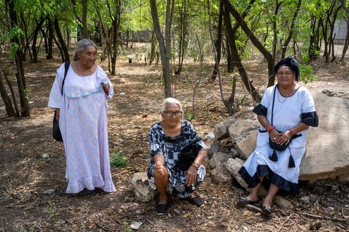 Colombia_Hawkey_LaGuajira_20260428_0051 SM