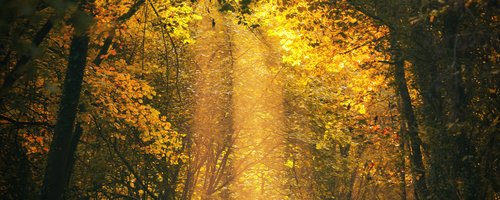 GettyImages-1399856226 (1)