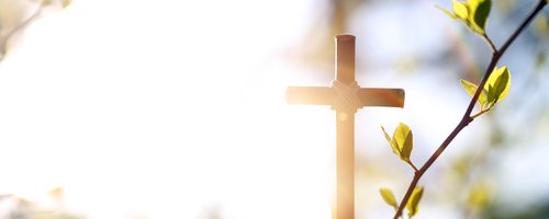 Church growth
