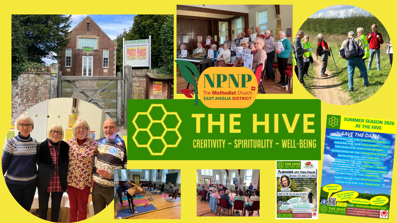 Hive picture collage