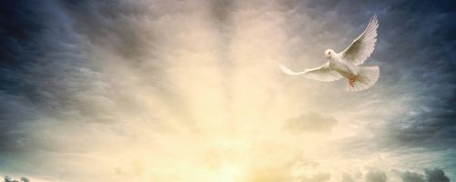 Holy Spirit (unsplash)