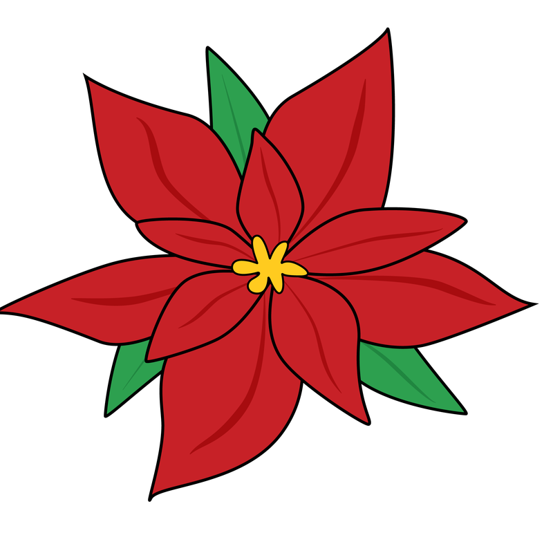 Poinsettia