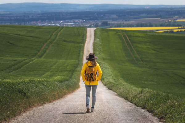 Journey (Larger)