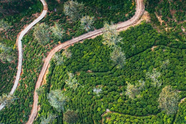 Land_Rights_Social_Justice (1)