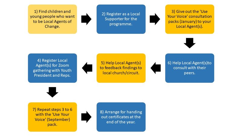An eight-step flowchart, showing the Local Agents of Change year at a glance
