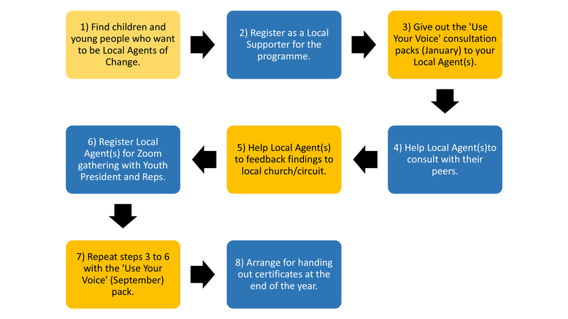 Flowchart showing Local Agents of Change process through year.