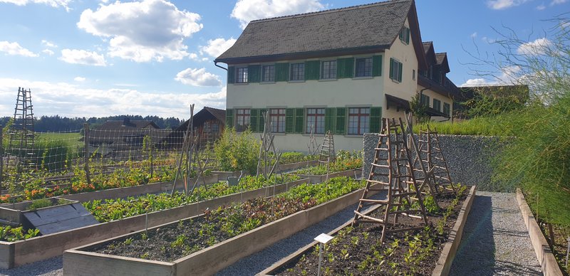 An allotment with trellis and plants next to a church in Switzerland