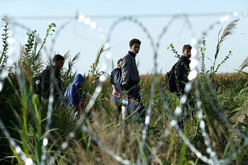 Migrants in Hungary near the Serbian border, August 2015