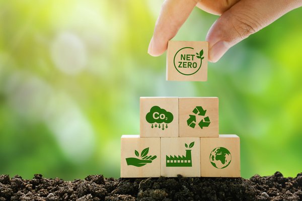 Net zero