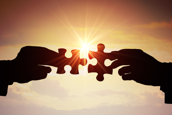 Partnership