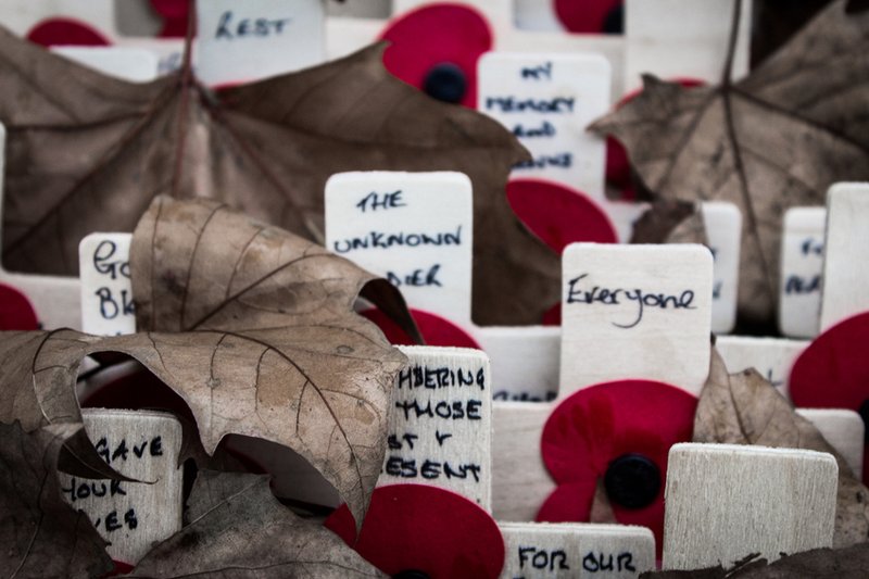 Wooden crosses with poppies