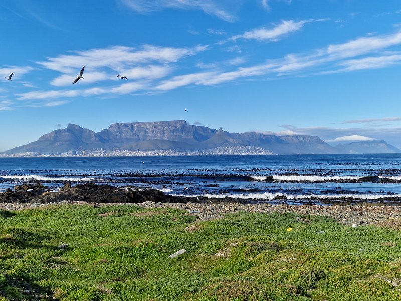 Table Mountain. Cape Town, South Africa.