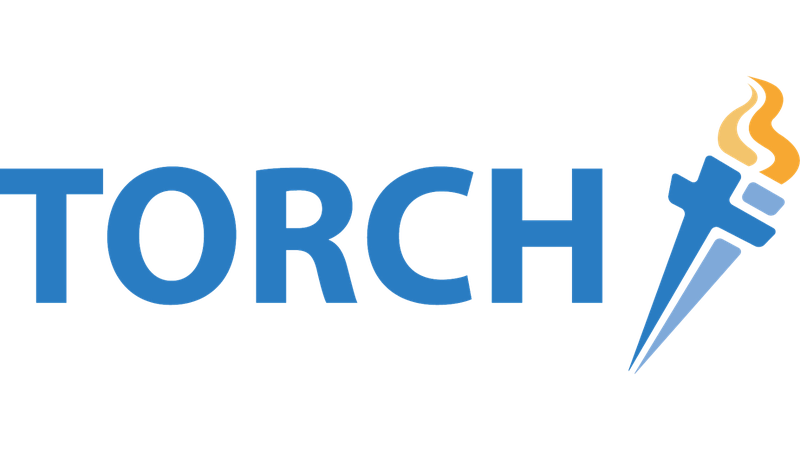 Torch logo no background