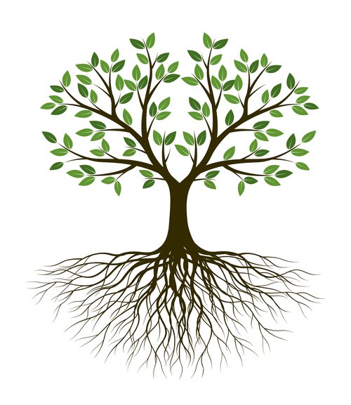 Tree of Life GettyImages-1224813660