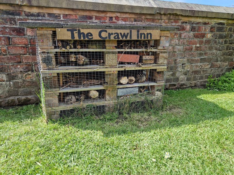 Bug hotel Kirkham Lancashire