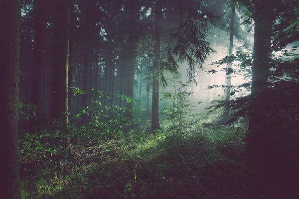 afterlife (unsplash)