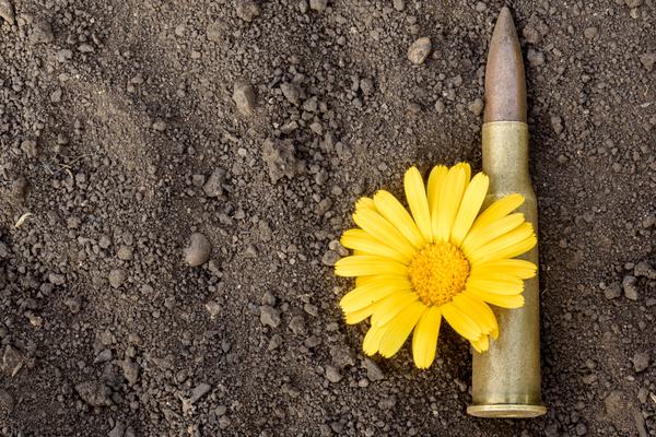 bullet and flower.jpg