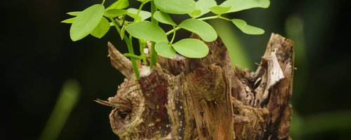 church-at-margins-home