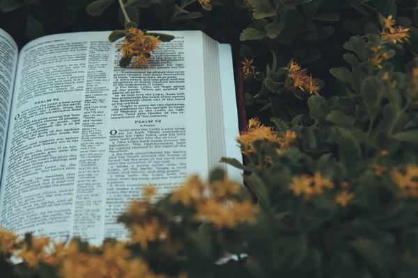creeds (unsplash)