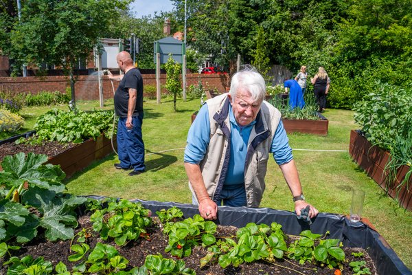 market garden b2