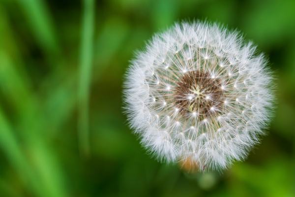 perfection (unsplash)