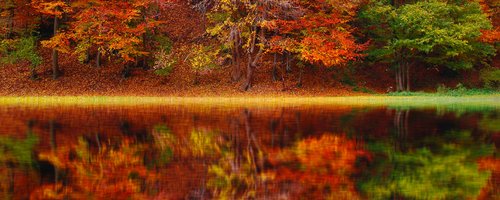 seasons-pexels