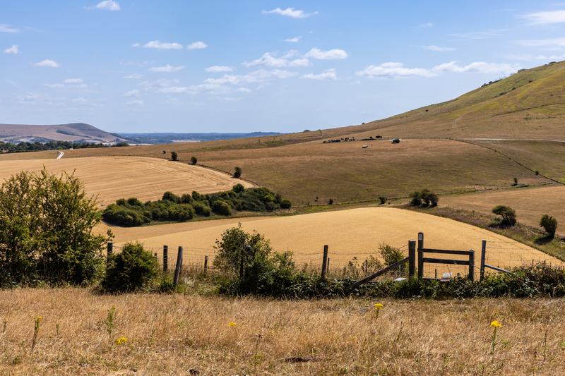 Drought has hit large parts of the country