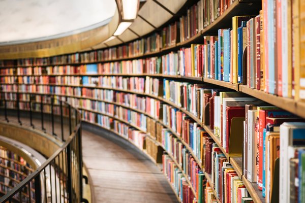 Library bookshelf