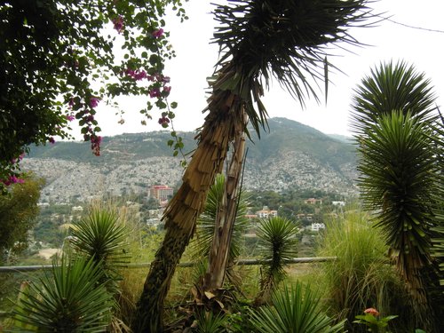 the-beauty-of-haiti