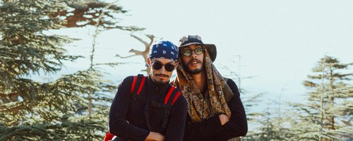 Find a travelling companion