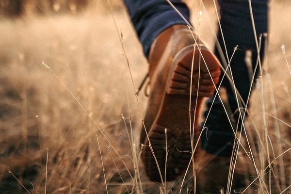 walking-through-long-grass-gettyimages-1185206896